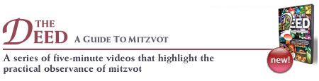 The Deed: A Guide to Mitzvot